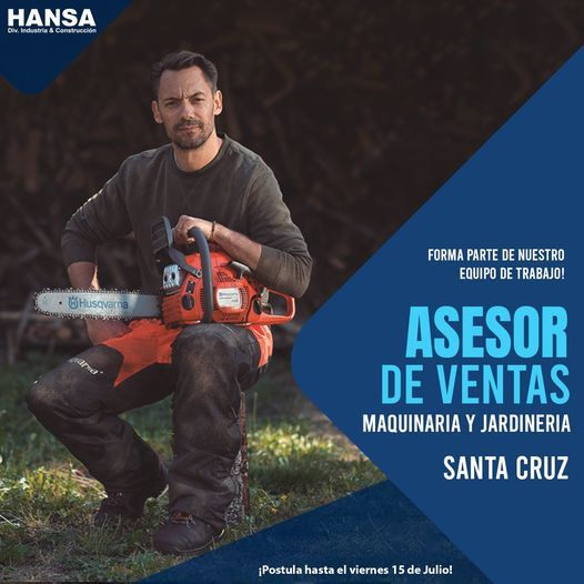 ASESOR DE VENTAS HANSA