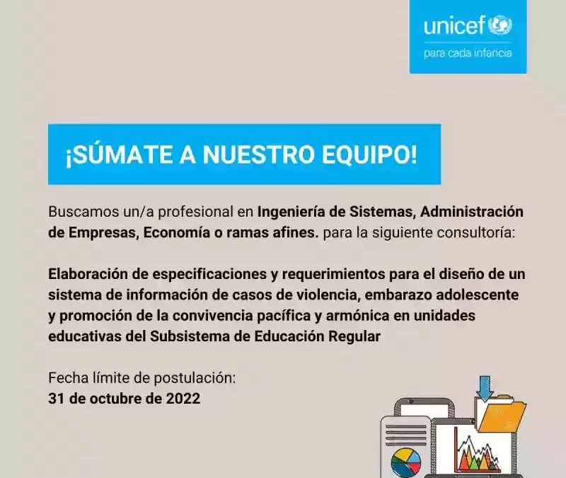 Consultoria UNICEF Bolivia
